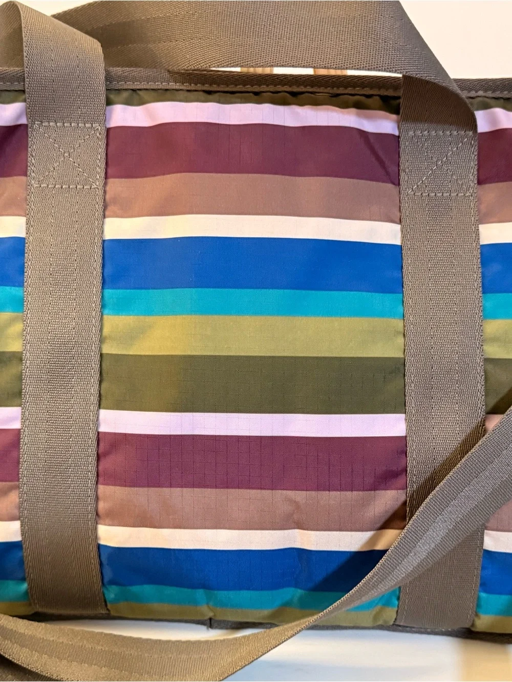 LeSportsac Multicolor Striped Laptop Bag with Gray Handles